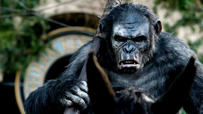 Koba - El planeta de los simios.
