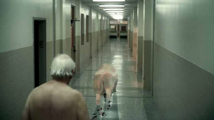 Un conserje persiguiendo a un cerdo en el pasillo.