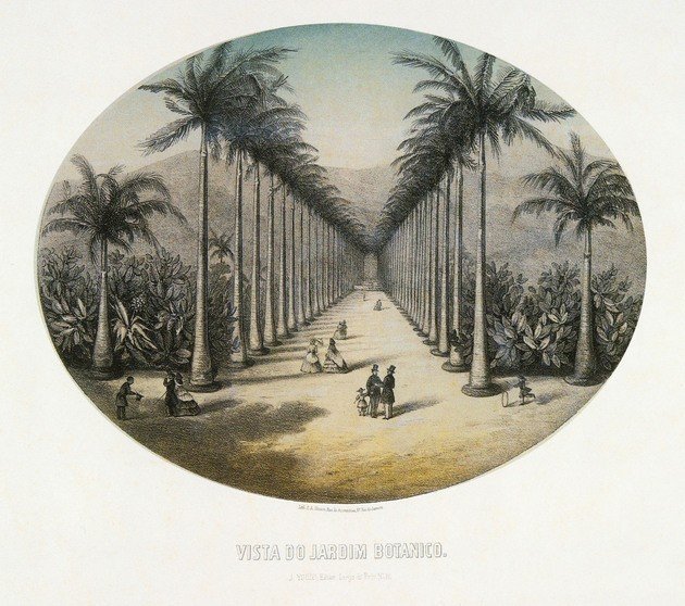 El Jardín Botánico