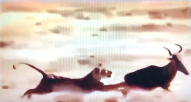 La escena de la caza se intercala durante la conversación de Dick con un miembro del jurado.