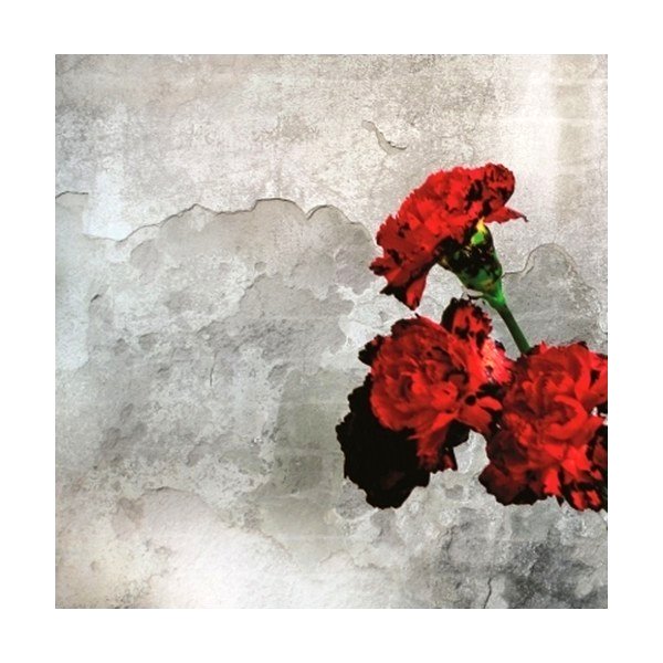 Portada del CD Futuro enamorado.