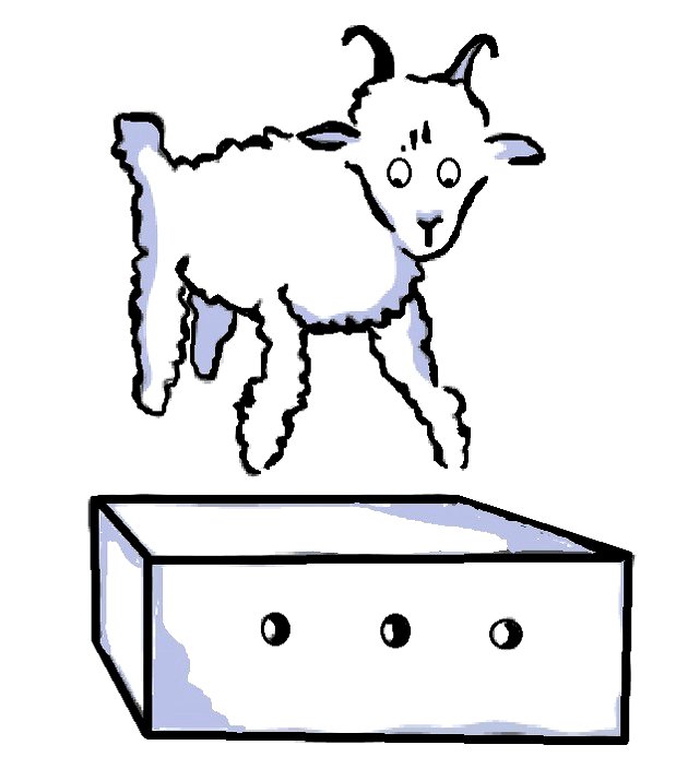 La oveja y la caja