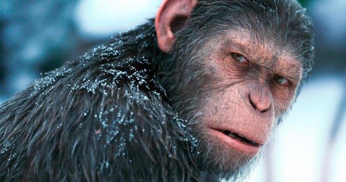 Un fotograma de la nueva película de la franquicia El planeta de los simios.